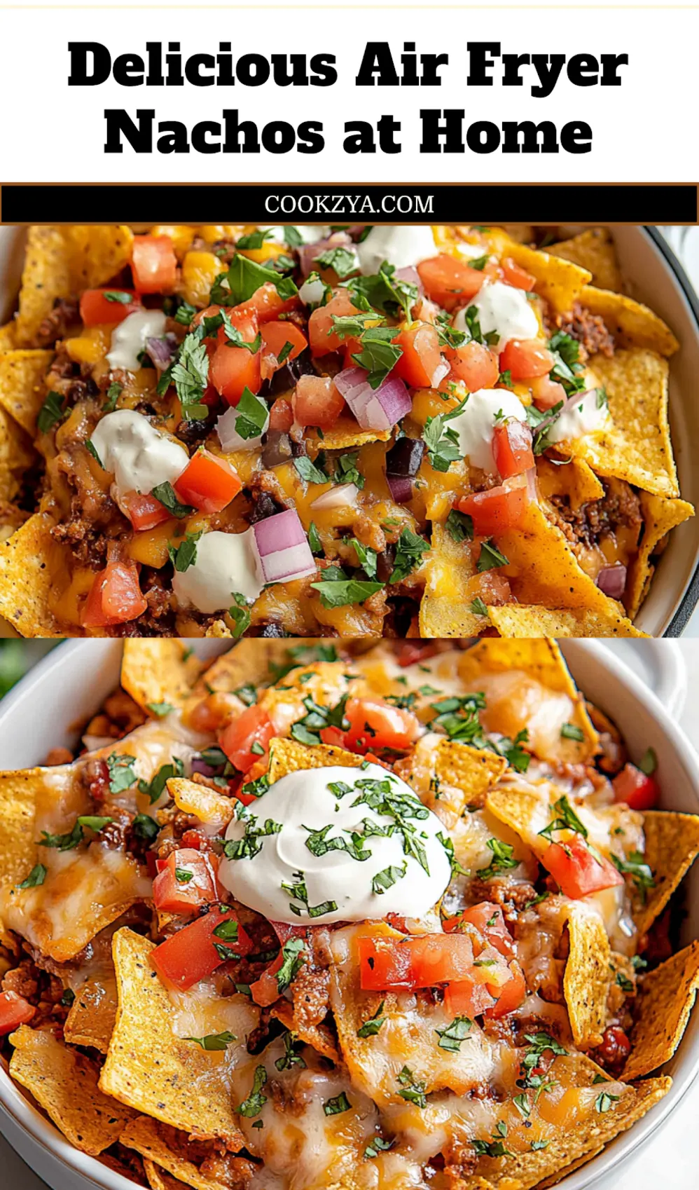 AIR FRYER NACHOS centered hero view, clean and uncluttered_pin