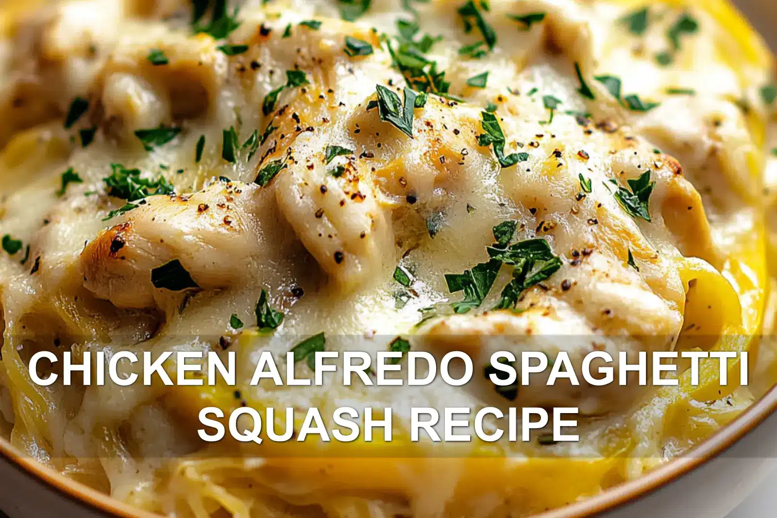CHICKEN ALFREDO SPAGHETTI SQUASH RECIPE centered hero view, clean and uncluttered