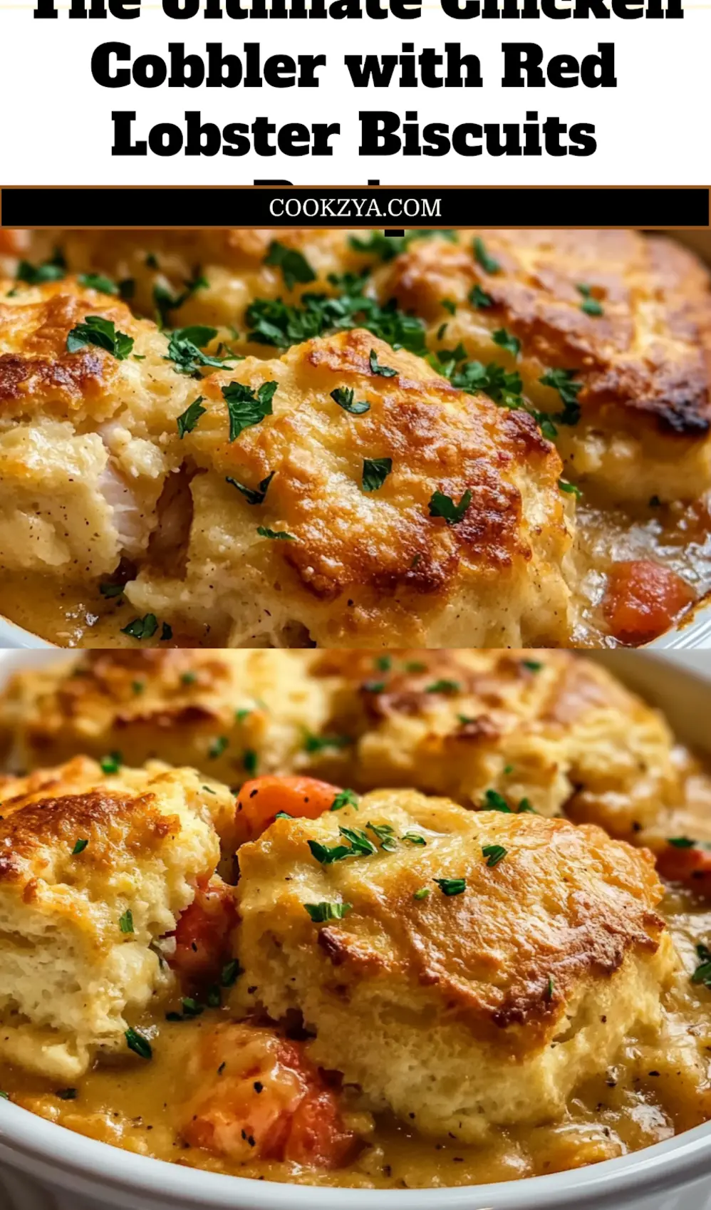 CHICKEN COBBLER WITH RED LOBSTER BISCUITS centered hero view, clean and uncluttered_pin