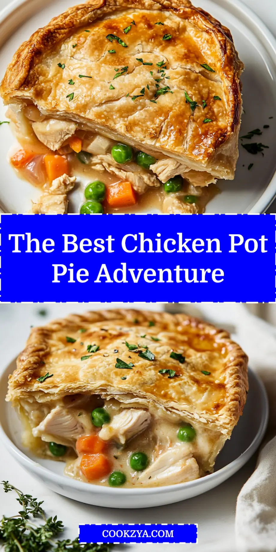 Chicken Pot Pie Easy and Delicious Recipe 6 CHICKEN POT PIE centered hero view, clean and uncluttered_pin