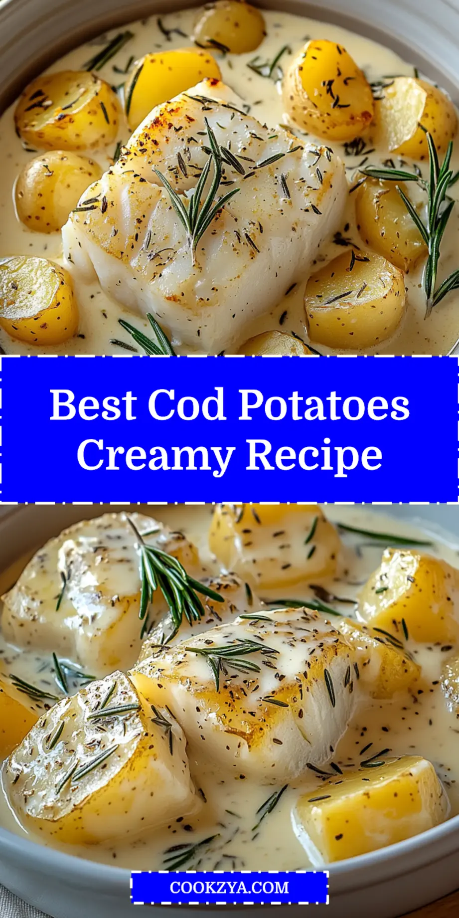 Cod Potatoes in Rosemary Cream Sauce Cozy Dinner Recipe 6 COD POTATOES IN ROSEMARY CREAM SAUCE centered hero view, clean and uncluttered_pin