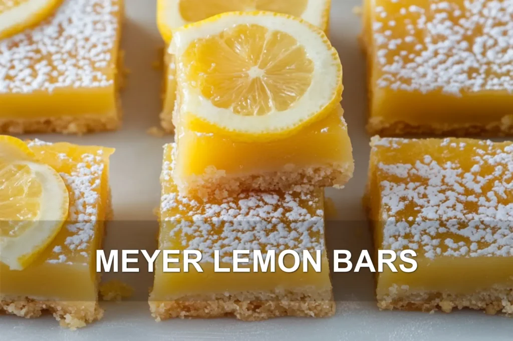 MEYER LEMON BARS centered hero view, clean and uncluttered
