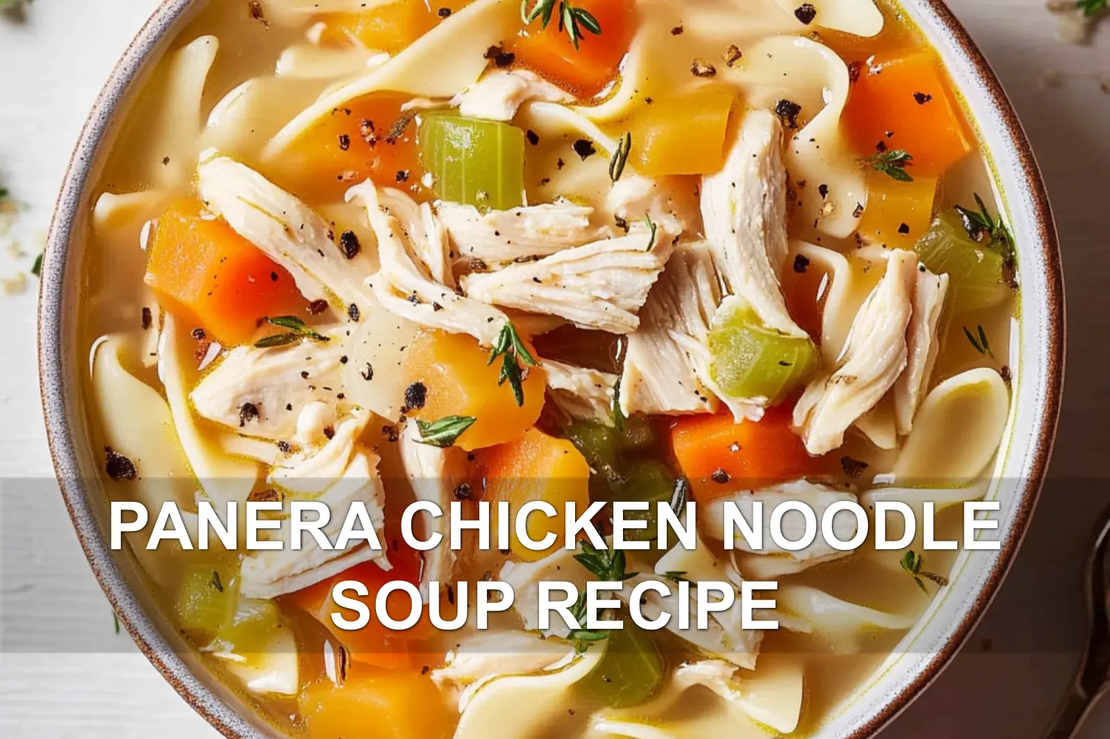 PANERA CHICKEN NOODLE SOUP RECIPE centered hero view, clean and uncluttered