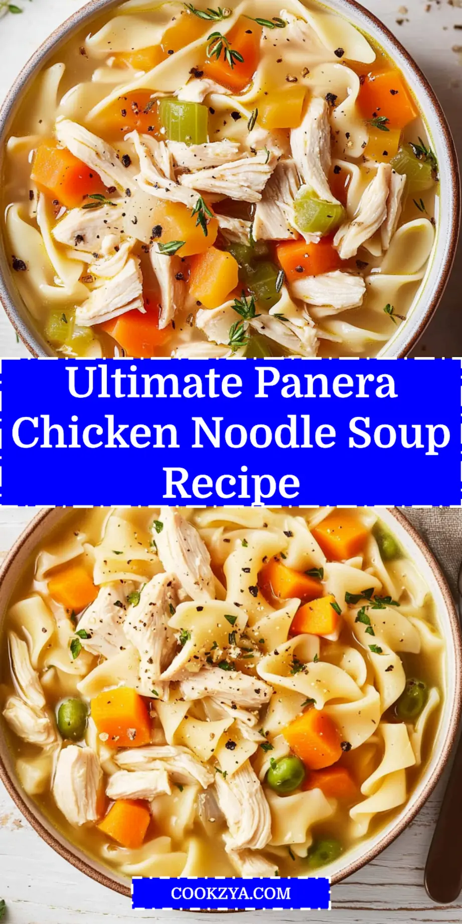 PANERA CHICKEN NOODLE SOUP RECIPE centered hero view, clean and uncluttered_pin