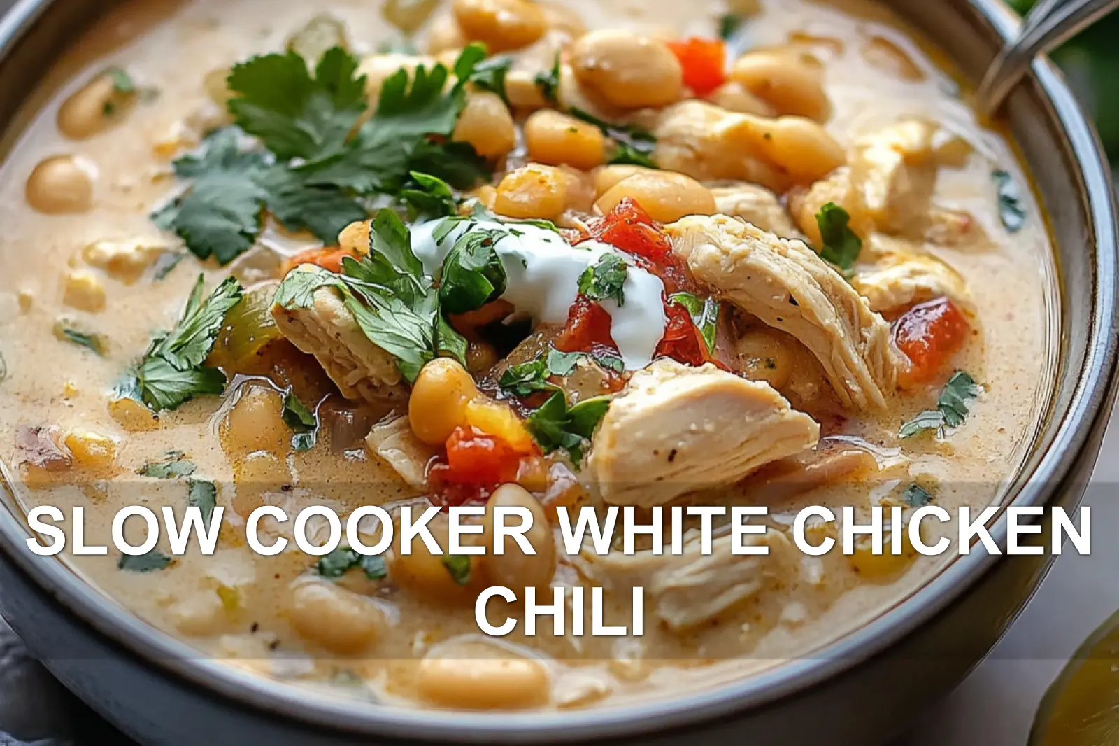 SLOW COOKER WHITE CHICKEN CHILI centered hero view, clean and uncluttered