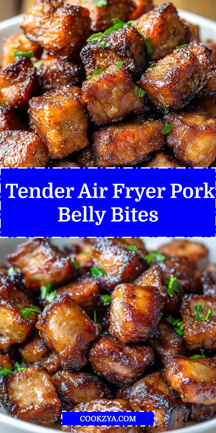 AIR FRYER PORK BELLY BITES centered hero view, clean and uncluttered_pin