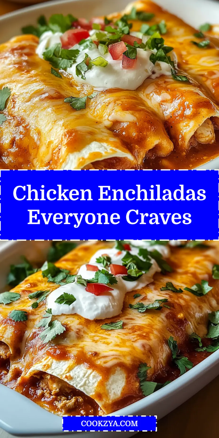 Oven-baked chicken enchiladas with bubbling red sauce and melted cheese, garnished with fresh cilantro, ready for serving.