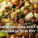CHINESE GROUND BEEF AND CABBAGE STIR FRY centered hero view, clean and uncluttered