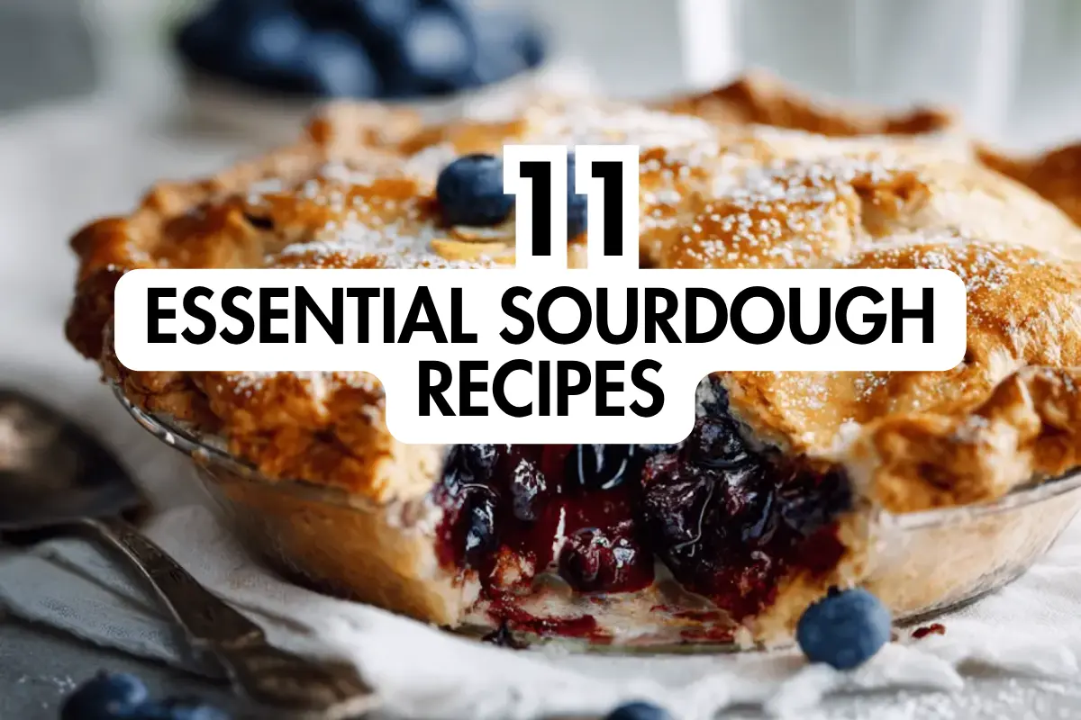 11 Essential Sourdough Recipes: Beginner-Friendly Bakes