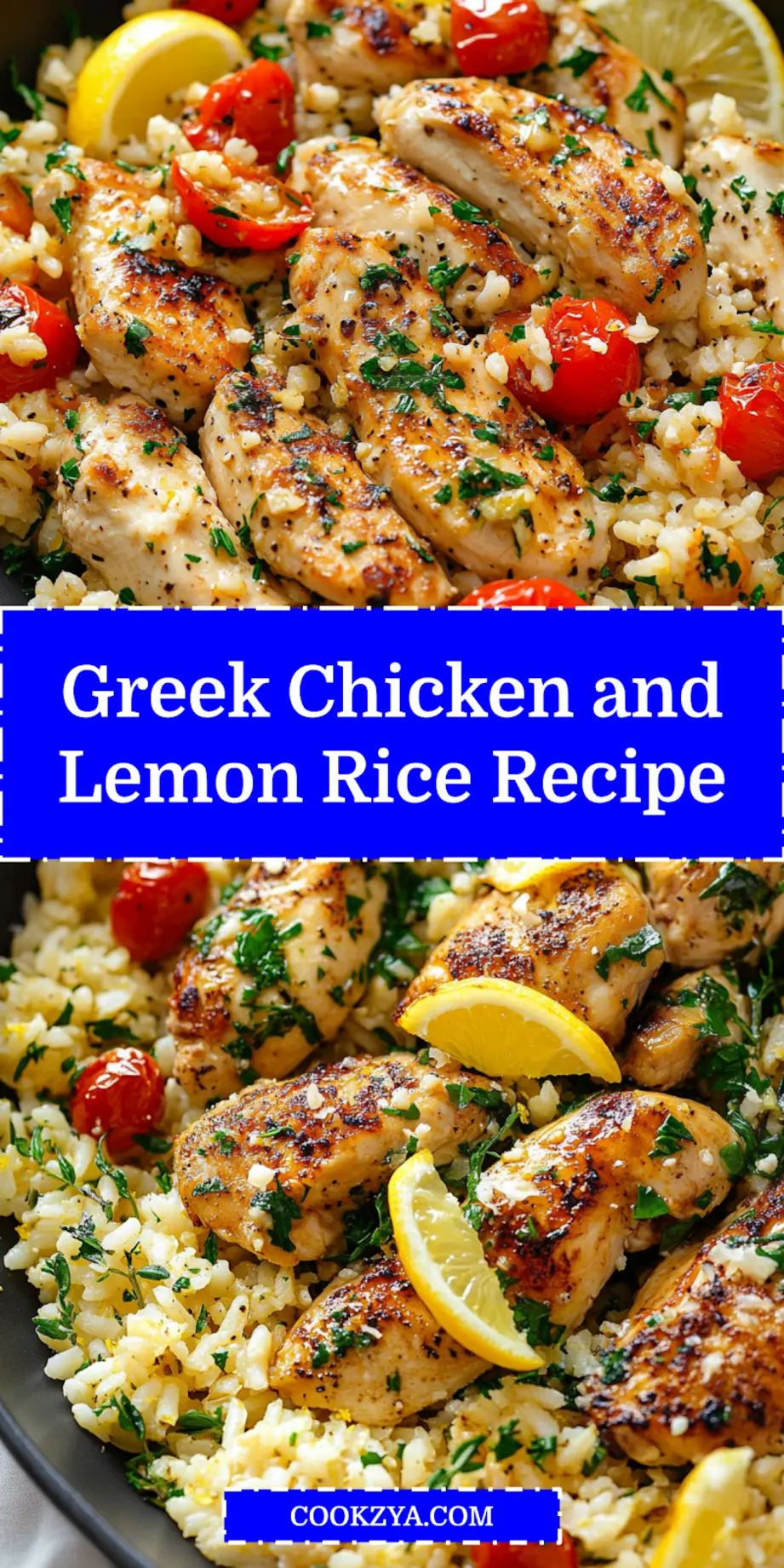GREEK CHICKEN AND LEMON RICE centered hero view, clean and uncluttered