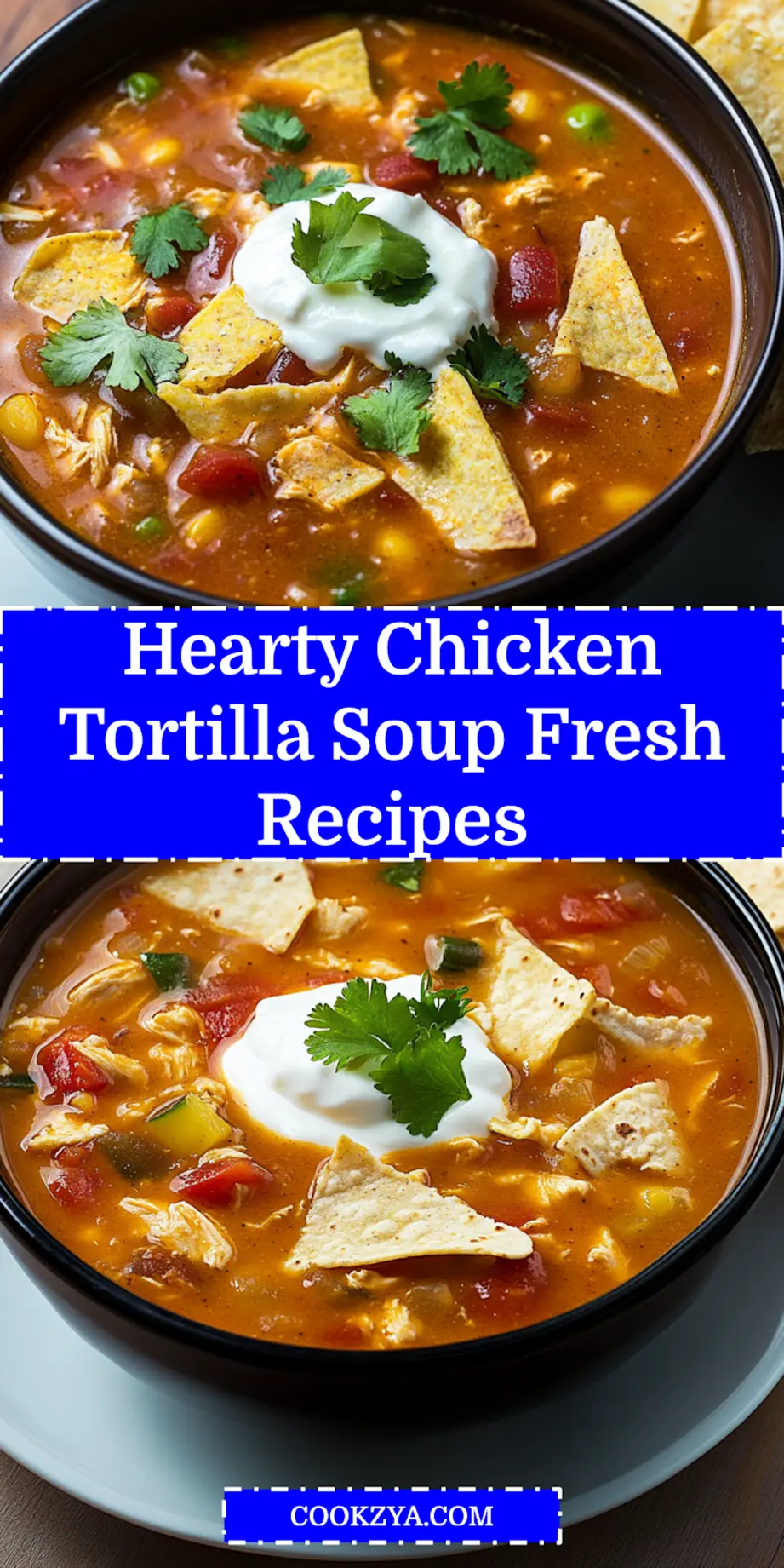 Hearty Chicken Tortilla Soup 5 Ways To Enjoy Now 6 HEARTY CHICKEN TORTILLA SOUP centered hero view, clean and uncluttered_pin