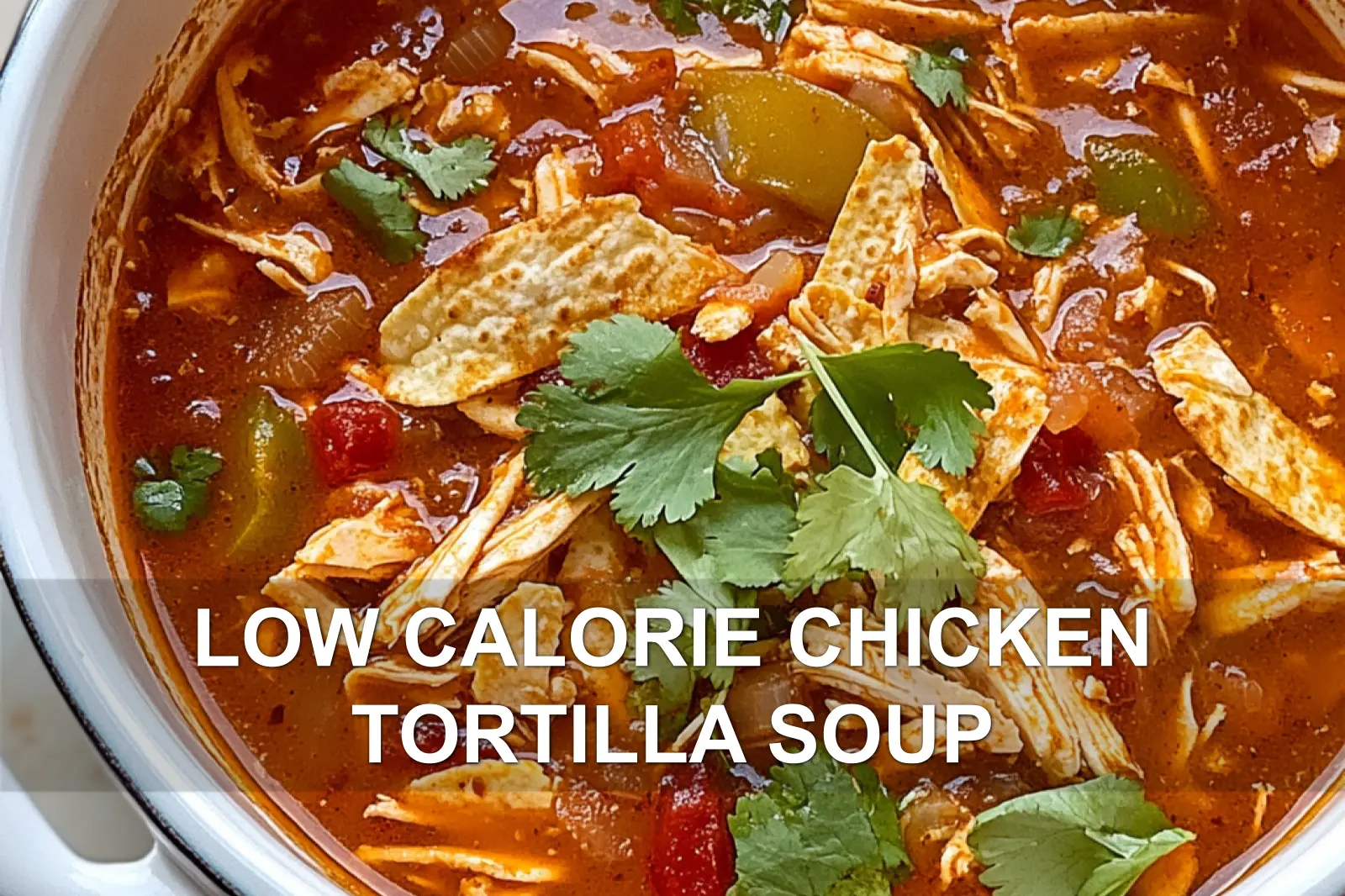 LOW CALORIE CHICKEN TORTILLA SOUP centered hero view, clean and uncluttered