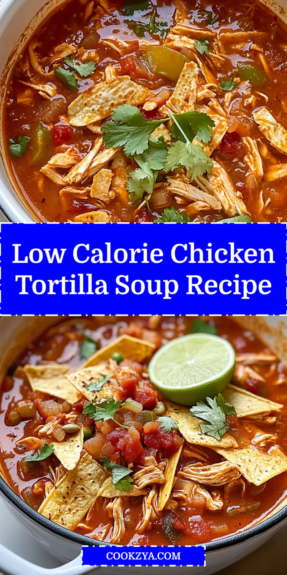 LOW CALORIE CHICKEN TORTILLA SOUP centered hero view, clean and uncluttered_pin