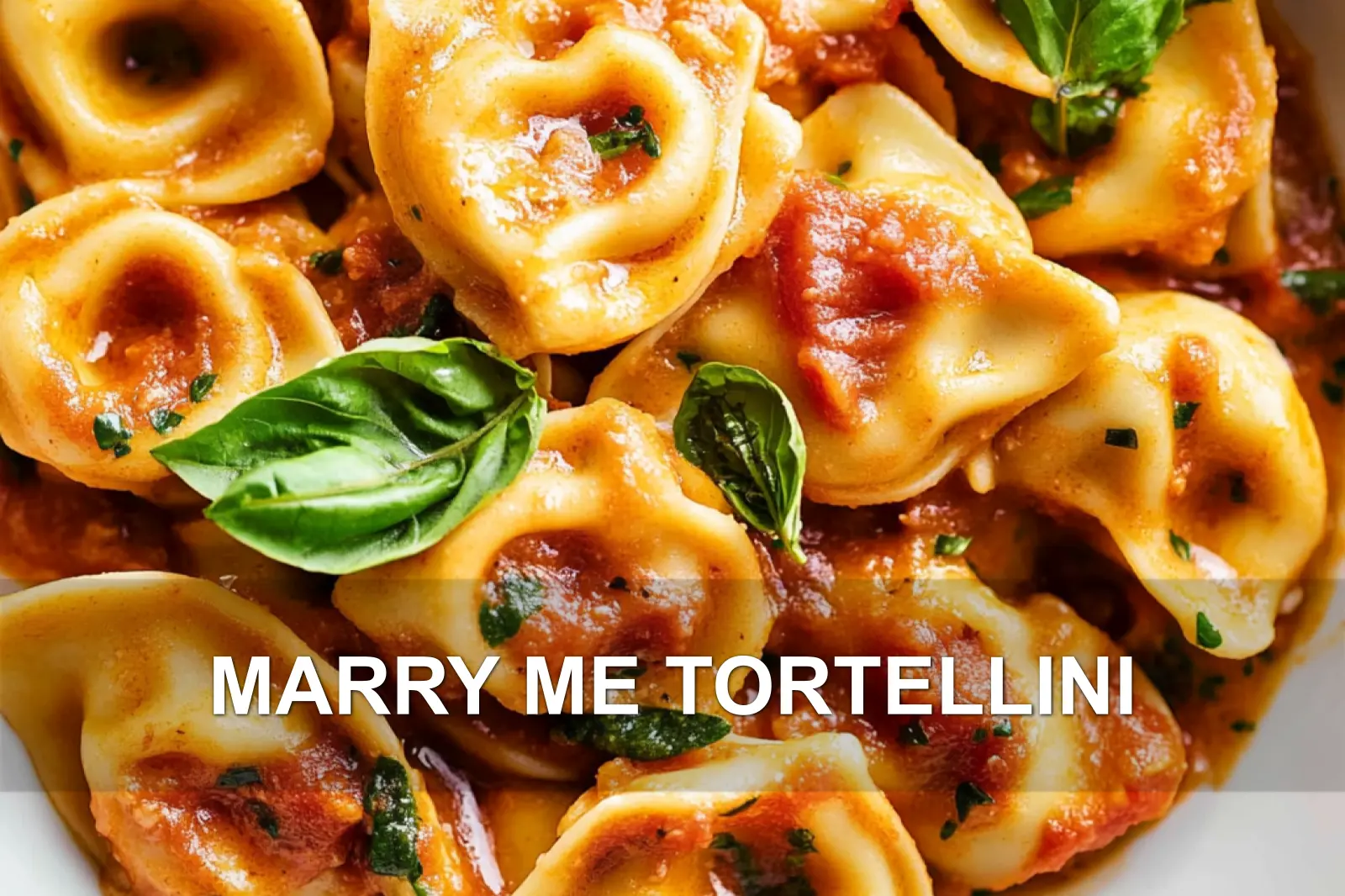 MARRY ME TORTELLINI centered hero view, clean and uncluttered