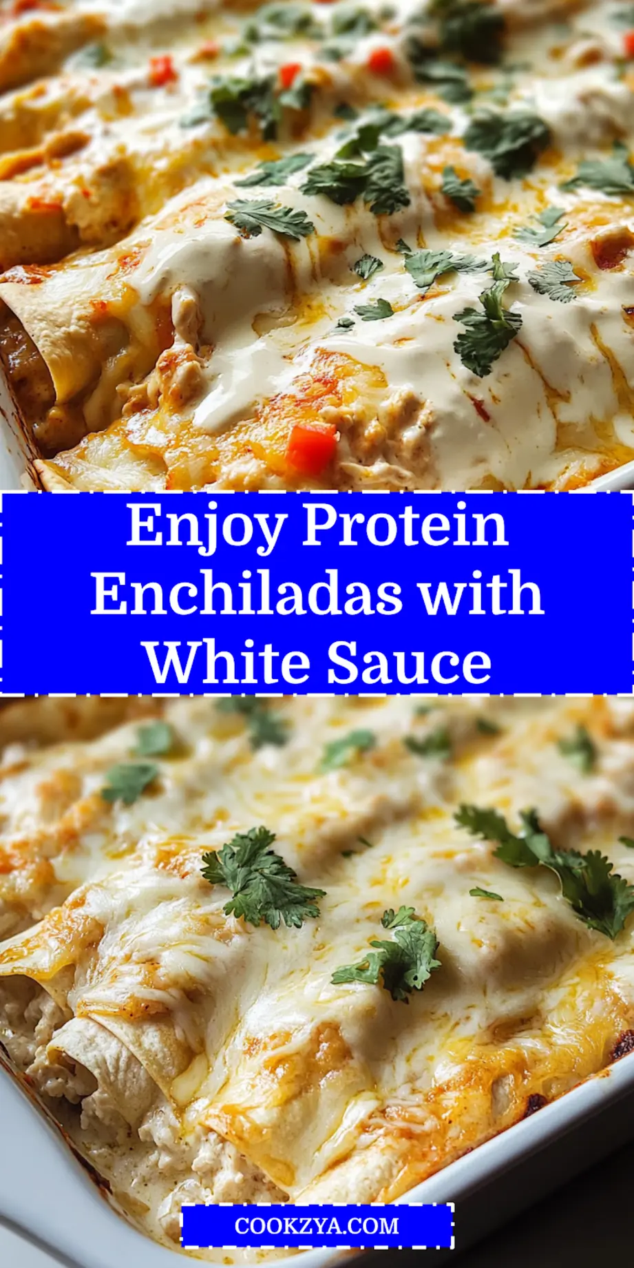 Protein Chicken Enchiladas with Dreamy White Sauce Recipe 6 PROTEIN CHICKEN ENCHILADAS WITH DREAMY WHITE SAUCE centered hero view, clean and uncluttered