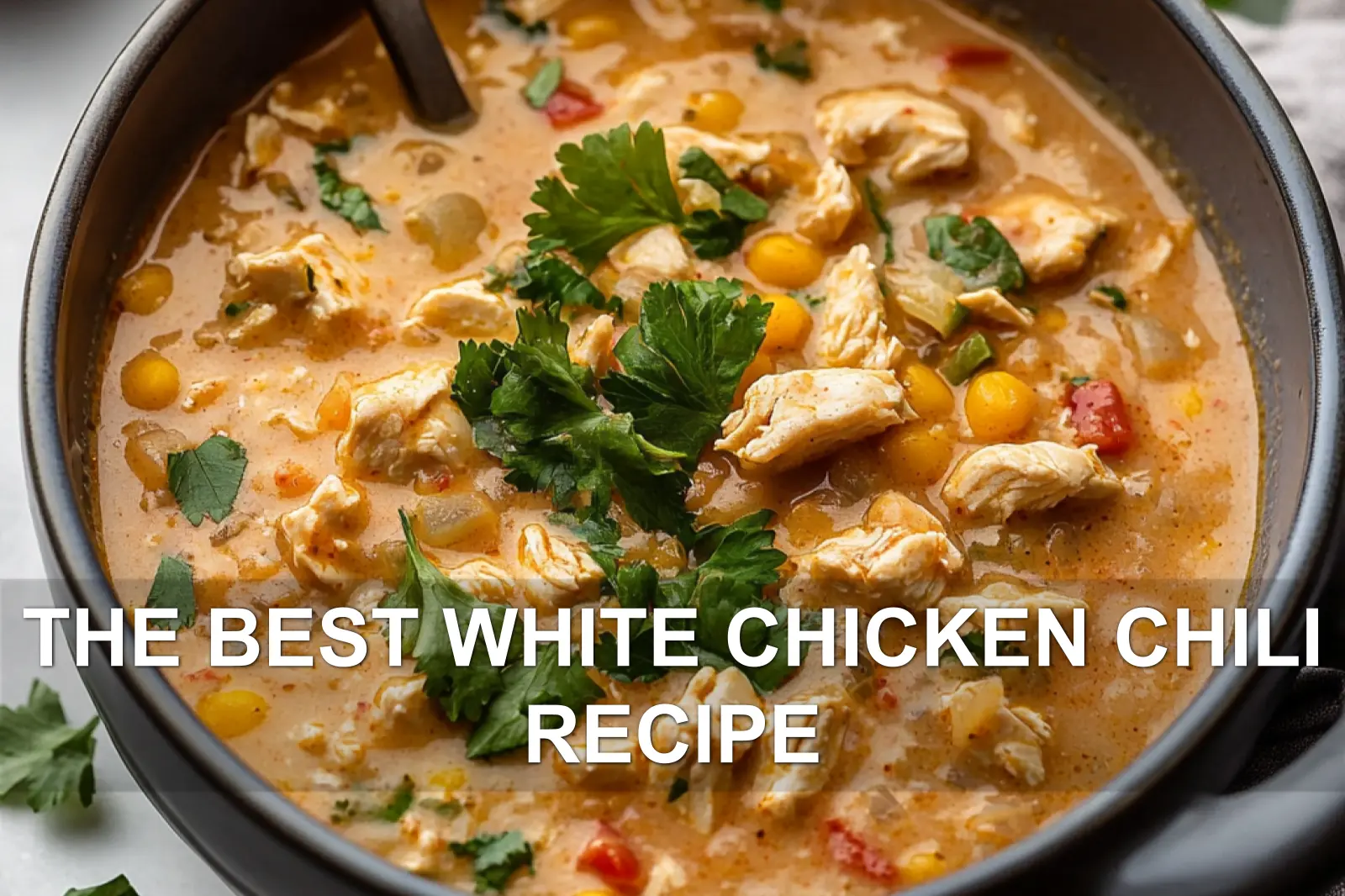 The best easy and delicious white chicken chili with tortilla chips