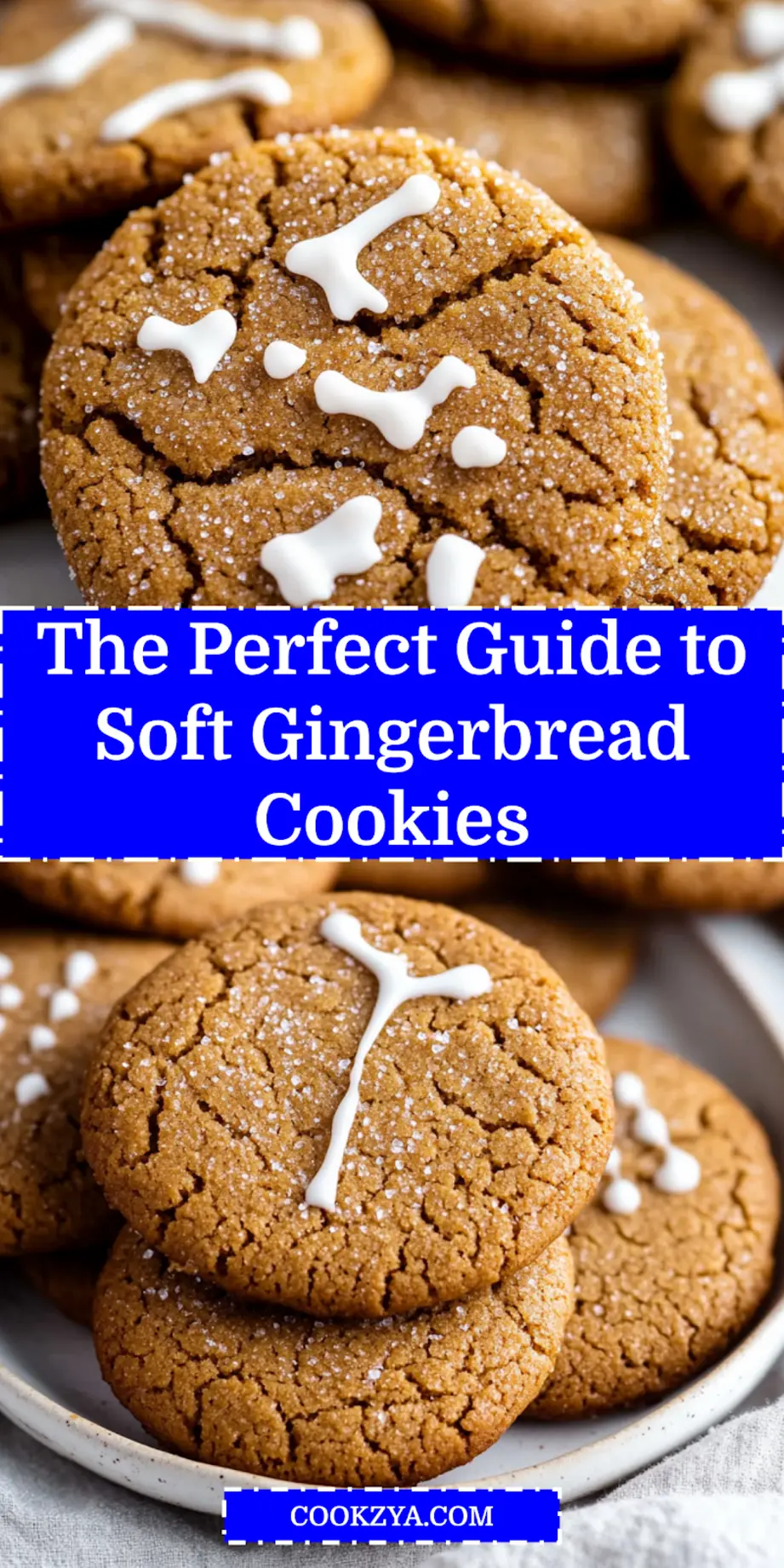 The Perfect Soft Gingerbread Cookies Guaranteed Enjoy 6 THE PERFECT SOFT GINGERBREAD COOKIES centered hero view, clean and uncluttered_pin