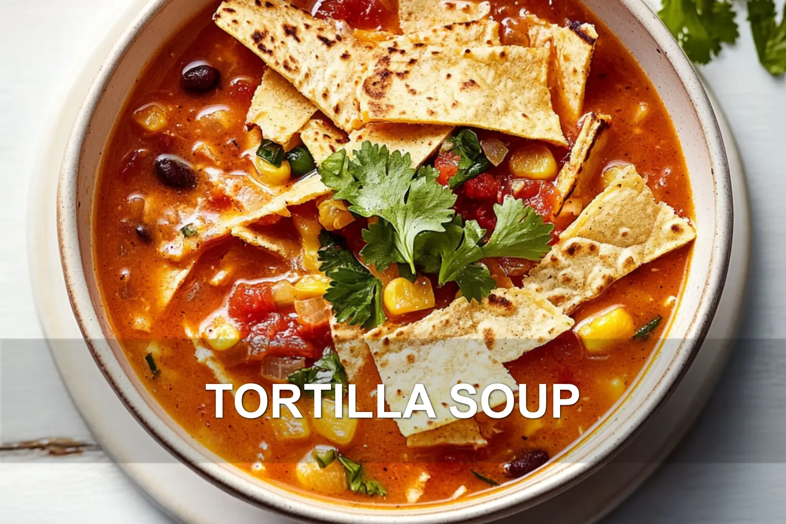 Tortilla Soup: Easy Fresh and Delicious Recipe