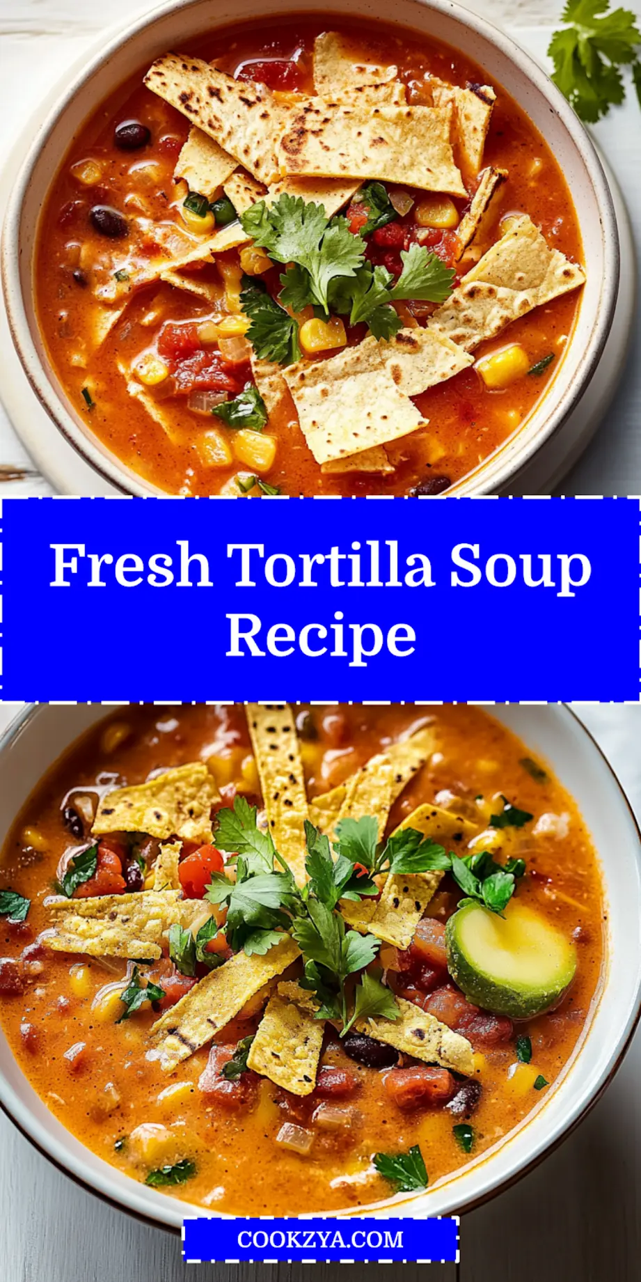 Tortilla Soup: Easy Fresh and Delicious Recipe 6 TORTILLA SOUP centered hero view, clean and uncluttered_pin