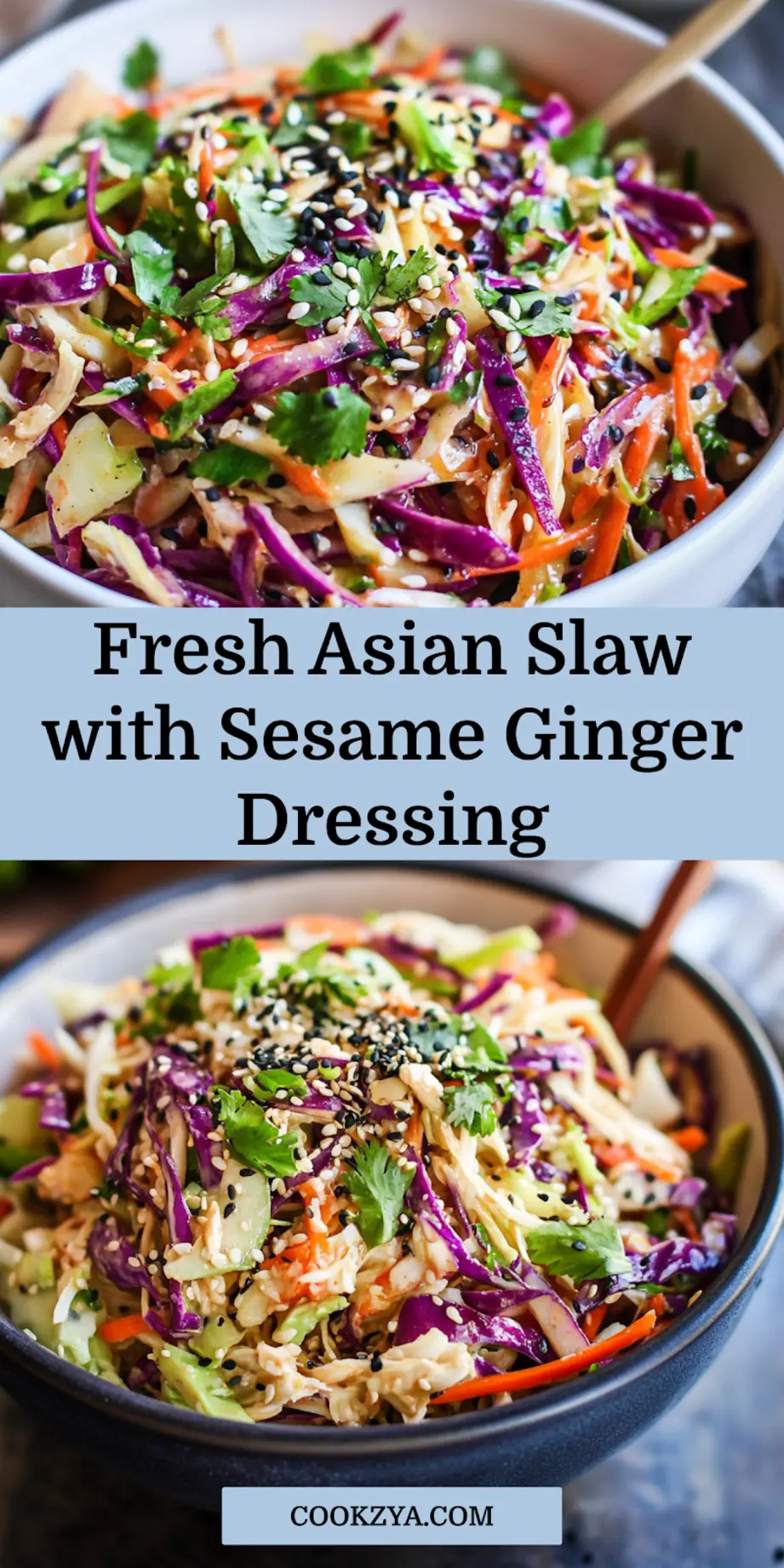 Asian slaw with sesame ginger dressing, centered hero view, clean and uncluttered