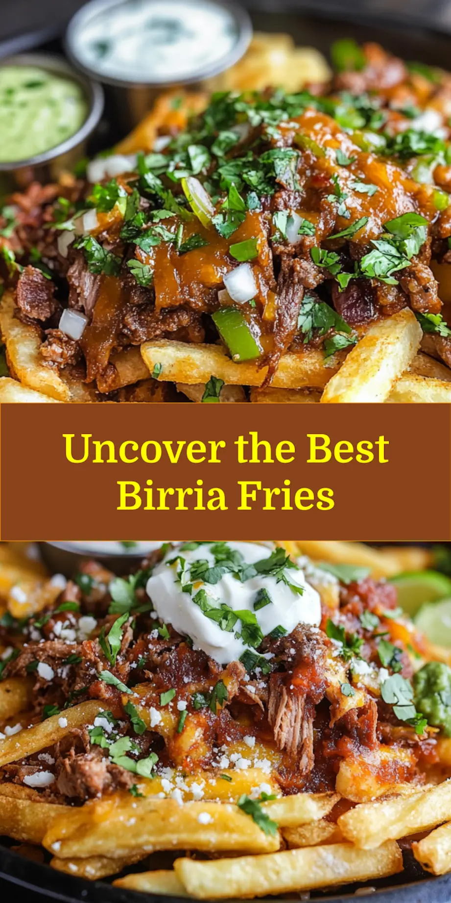 Plated Birria Fries with toppings and consomé dip