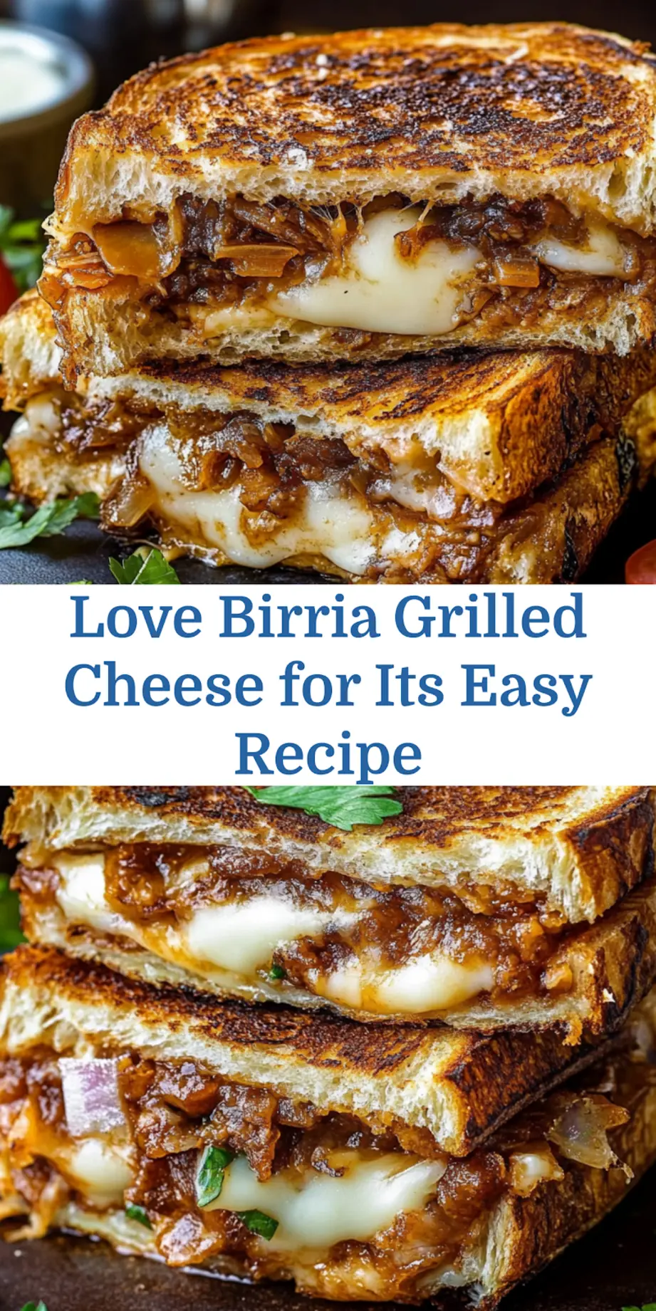 Birria Grilled Cheese sandwich served, clean and uncluttered