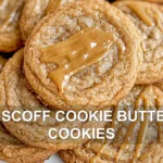 BISCOFF COOKIE BUTTER COOKIES centered hero view clean and uncluttered