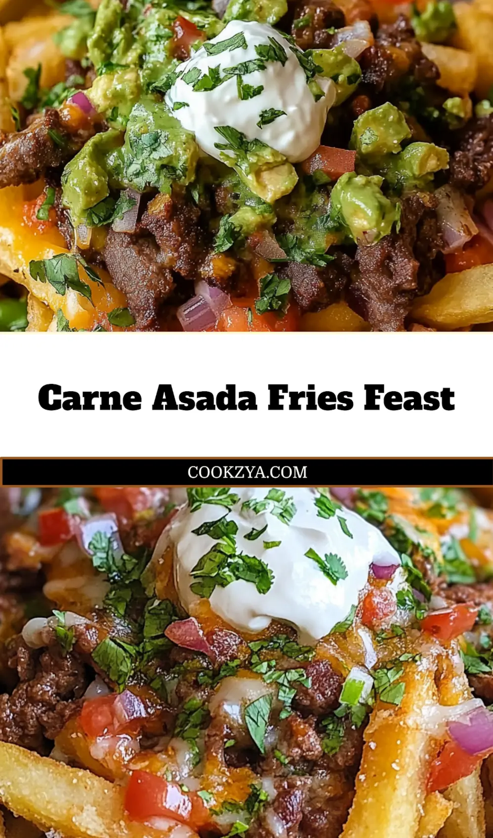 Plated Carne Asada Fries with melted cheese, guacamole, and fresh cilantro