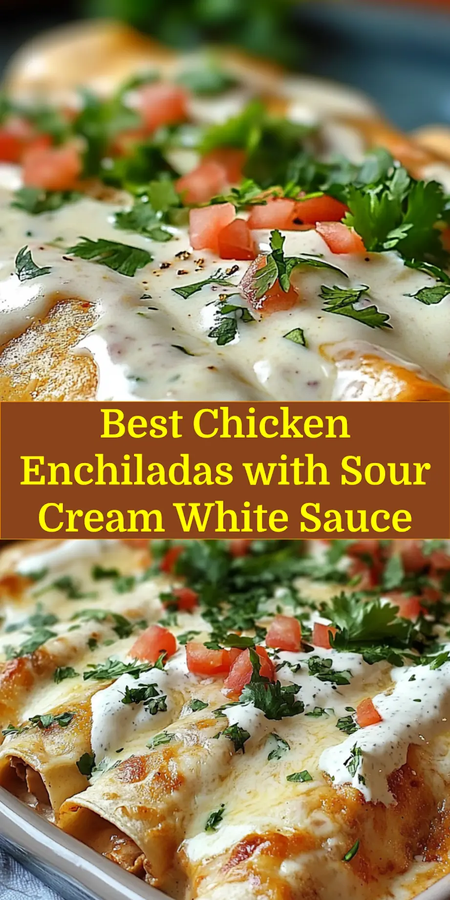Chicken enchiladas with sour cream white sauce, centered hero view, clean and uncluttered_pin