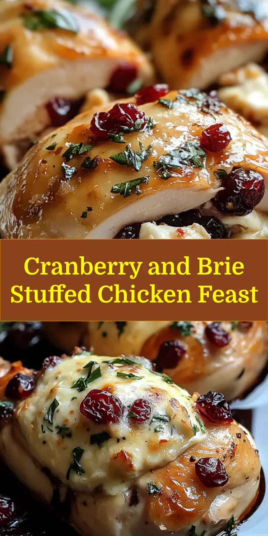 Close-up of cranberry and brie stuffed chicken, clean and uncluttered