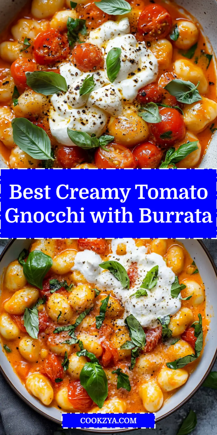 Creamy Tomato Gnocchi with Burrata centered hero view, clean and uncluttered pin