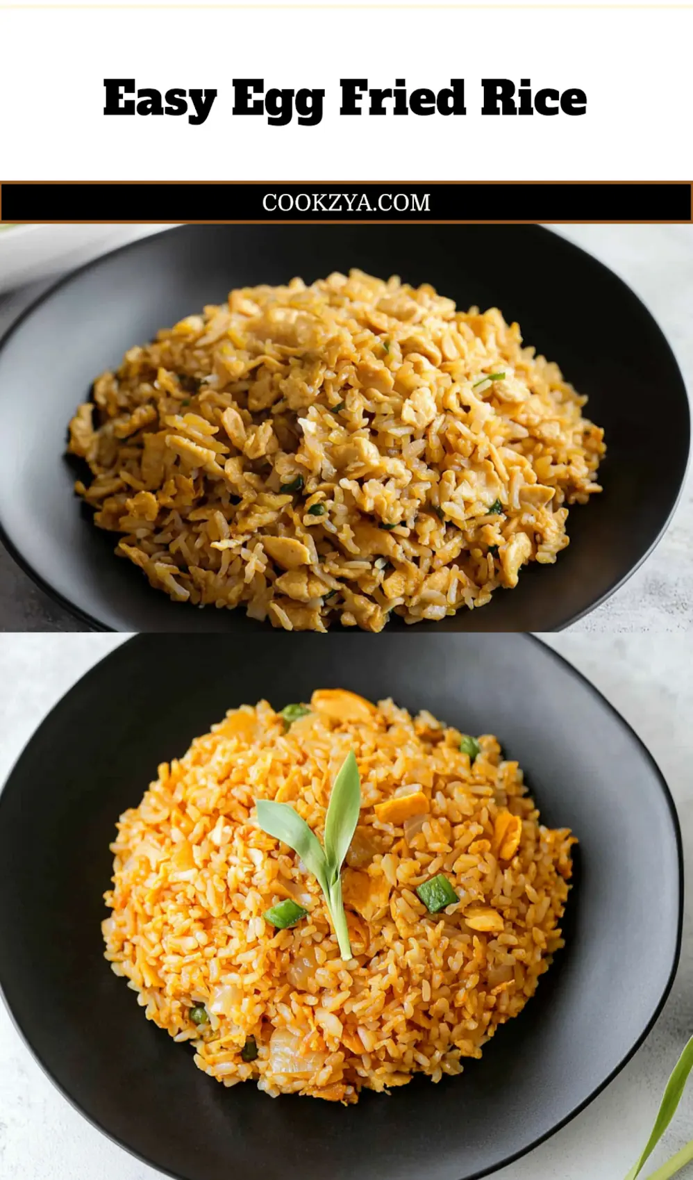 How to Make Egg Fried Rice at Home Today 7 EGG FRIED RICE centered hero view, clean and uncluttered_pin