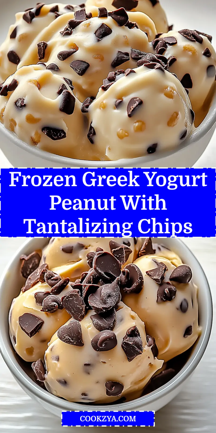 Frozen Greek Yogurt Peanut Chocolate Irresistible Recipe 7 FROZEN GREEK YOGURT PEANUT WITH CHOCOLATE CHIPS centered hero view, clean and uncluttered_pin