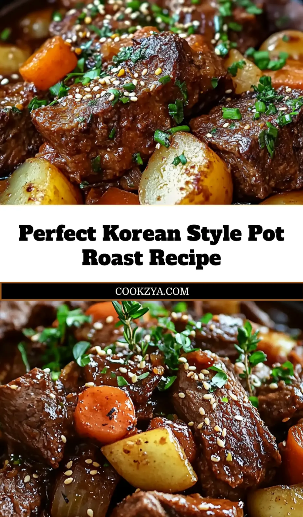 KOREAN STYLE POT ROAST centered hero view, clean and uncluttered_pin