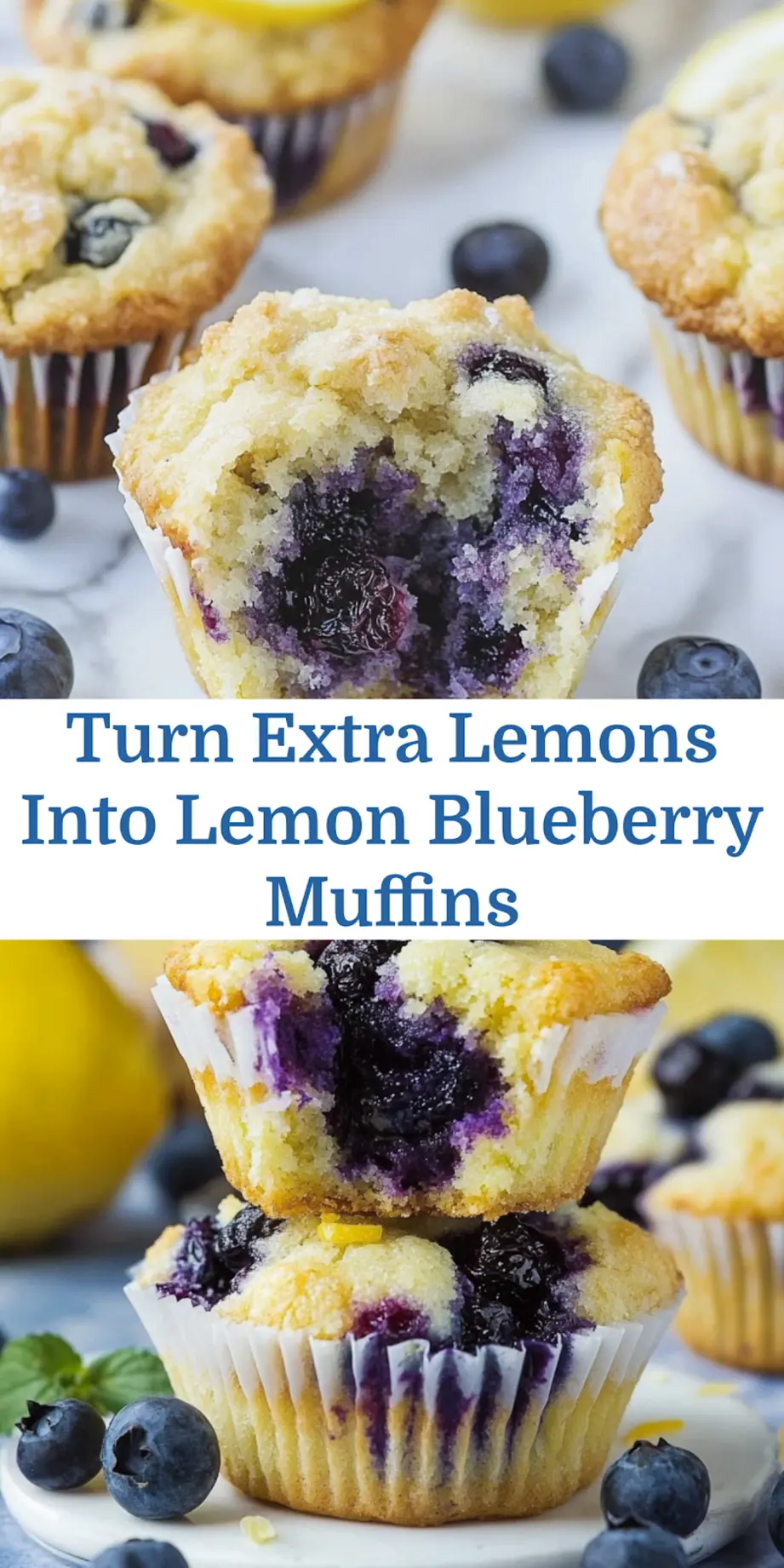 Try Our Delicious Lemon Blueberry Muffins Now 7 Freshly baked Lemon Blueberry Muffins cooling on a rack with neat presentation