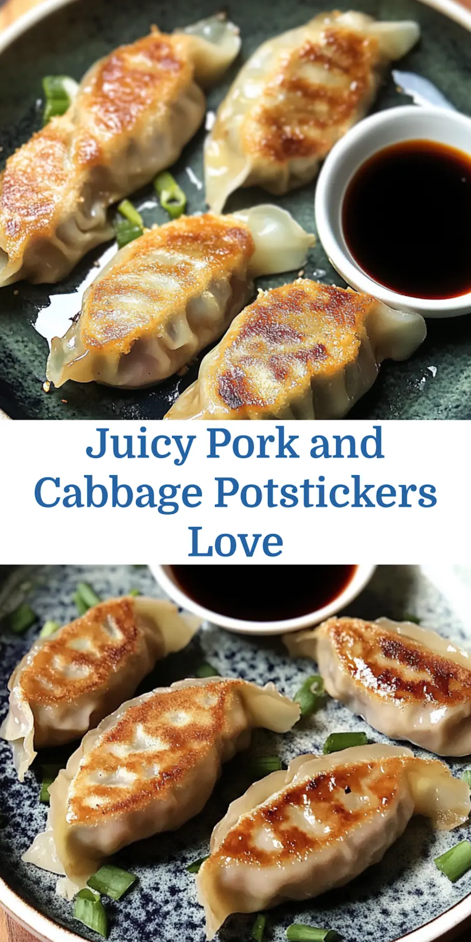 Finished Pork and Cabbage Potstickers plated and ready to enjoy