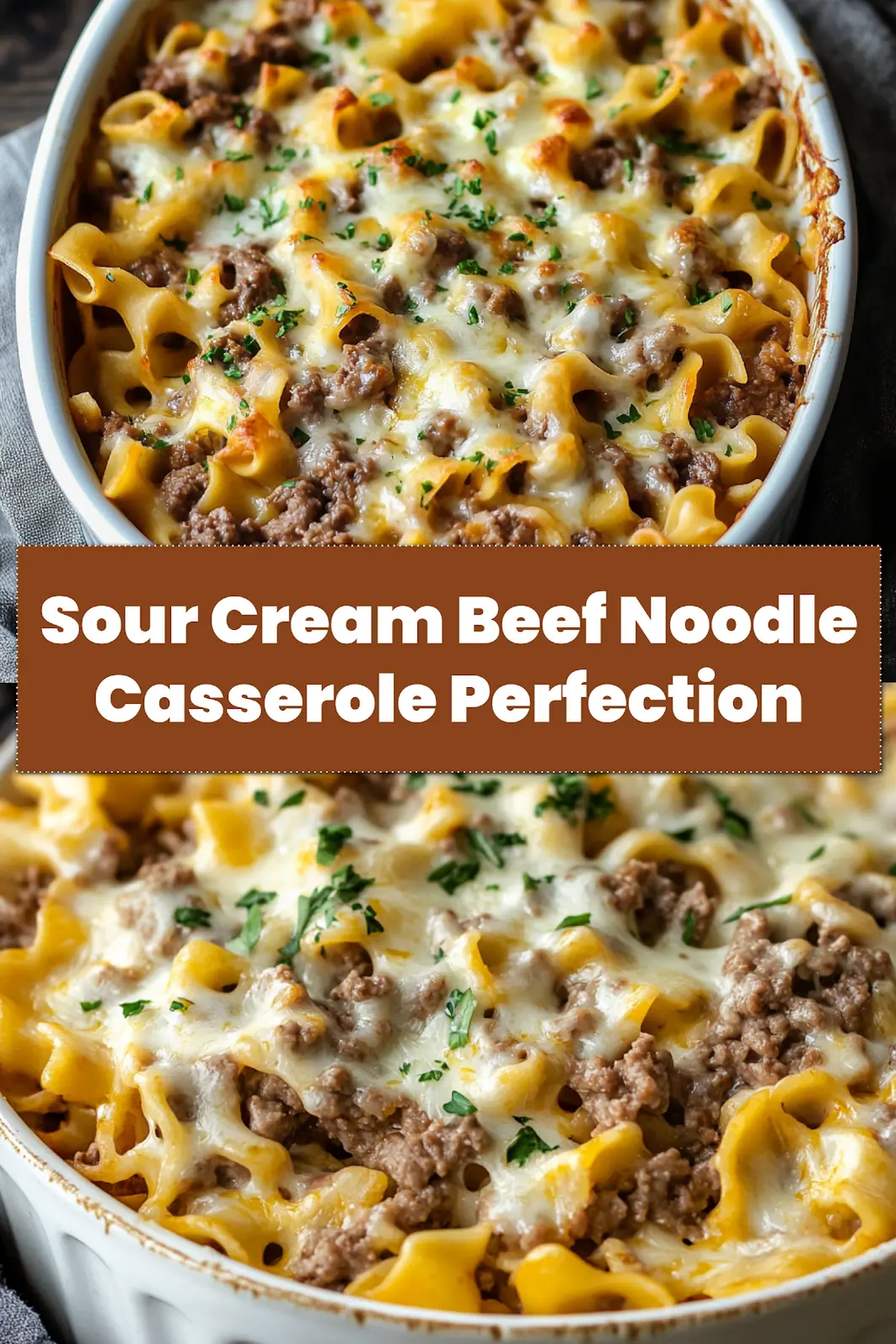 Baked sour cream beef noodle casserole ready to serve