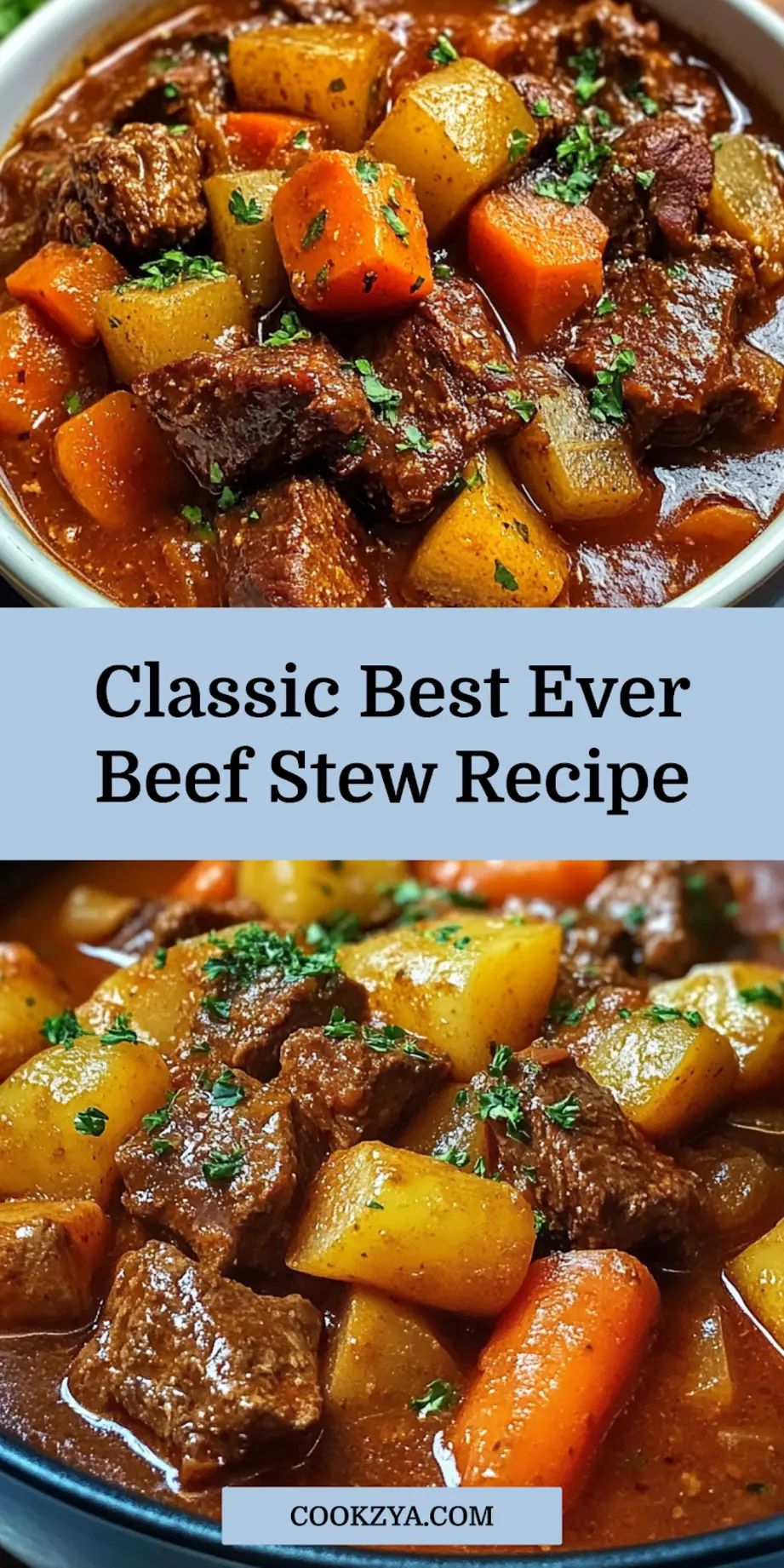 Best Ever Beef Stew served in a rustic bowl, garnished and ready to eat