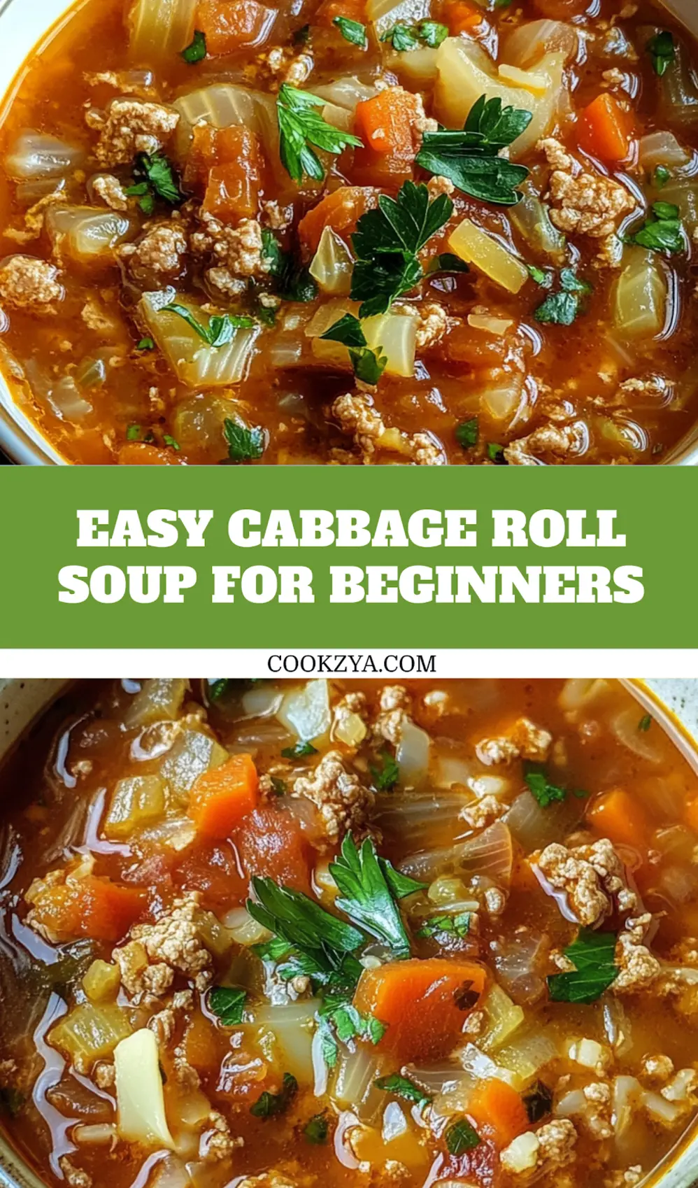 CABBAGE ROLL SOUP centered hero view, clean and uncluttered