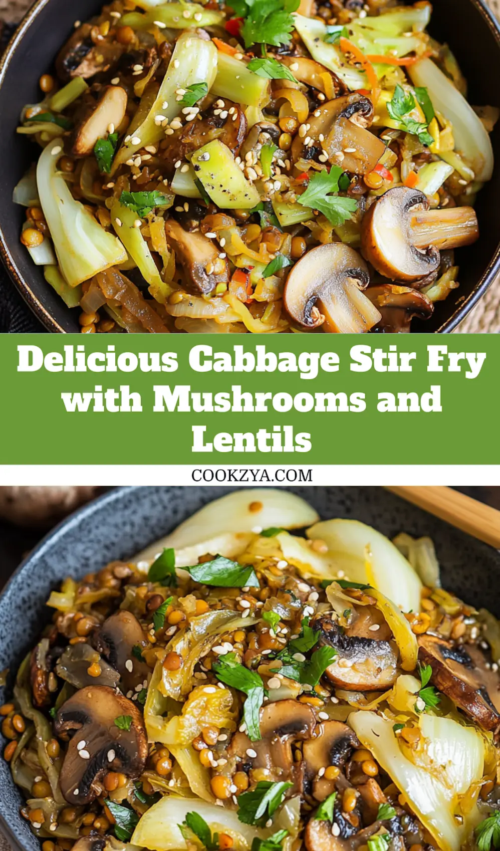 CABBAGE STIR FRY WITH MUSHROOMS AND LENTILS centered hero view, clean and uncluttered