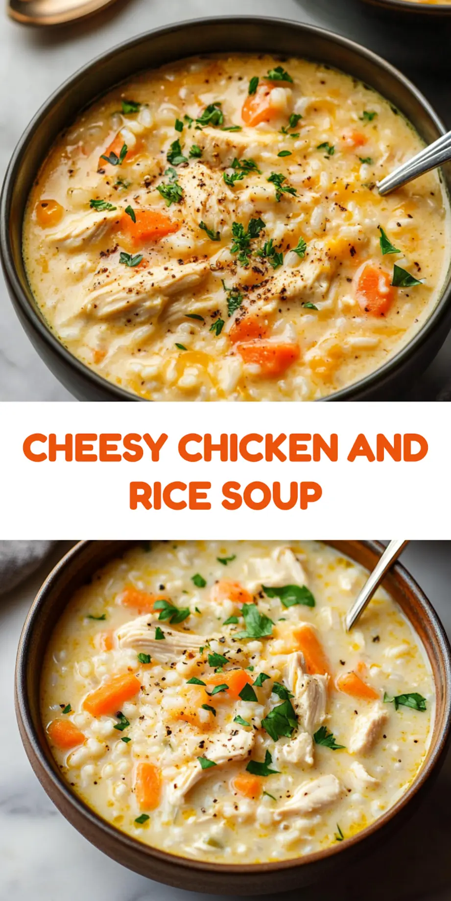Cheesy Chicken and Rice Soup Recipe Easy and Cozy 7 CHEESY CHICKEN AND RICE SOUP centered hero view, clean and uncluttered