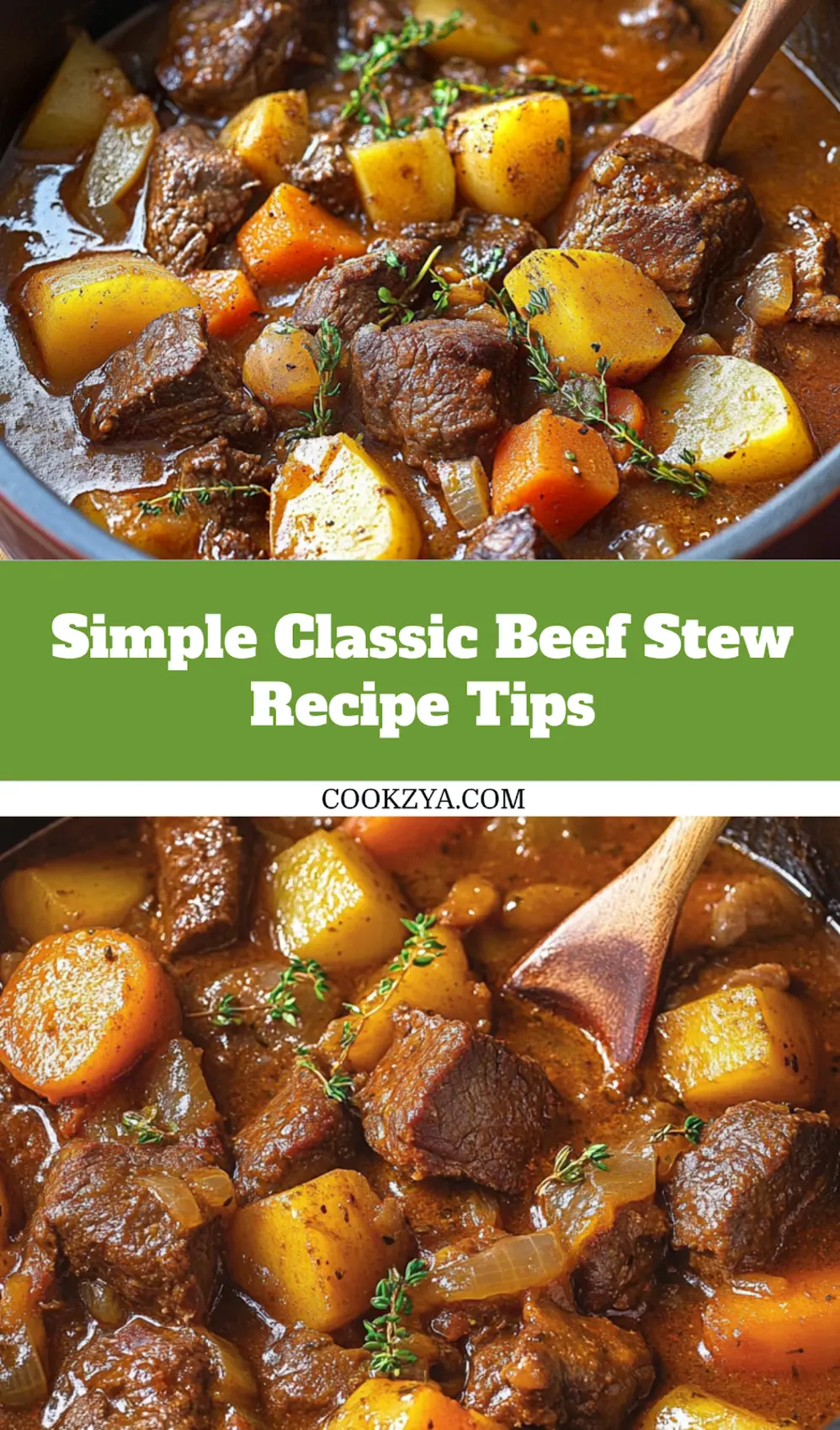 Classic beef stew served in a bowl with fresh herbs