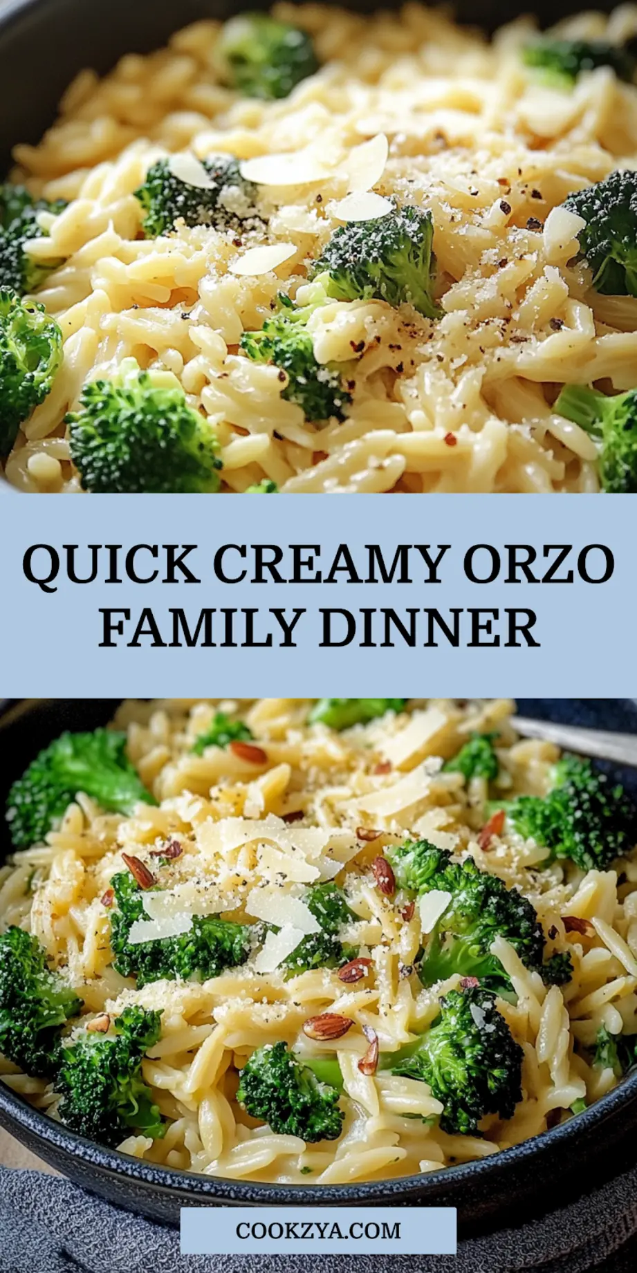 Creamy Orzo with Parmesan and Broccoli pin image for saving and sharing
