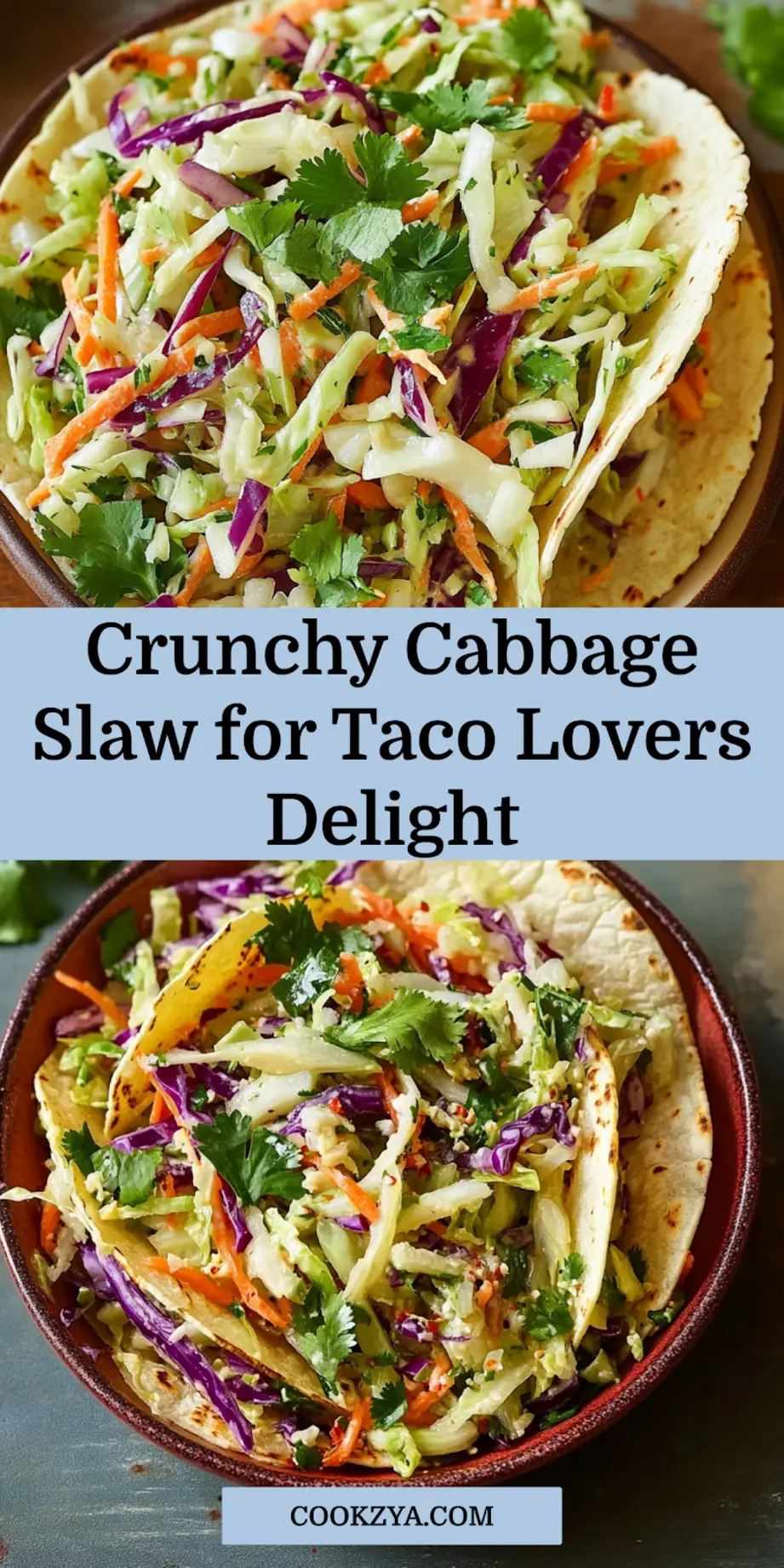 CRUNCHY CABBAGE SLAW FOR TACOS centered hero view, clean and uncluttered_pin