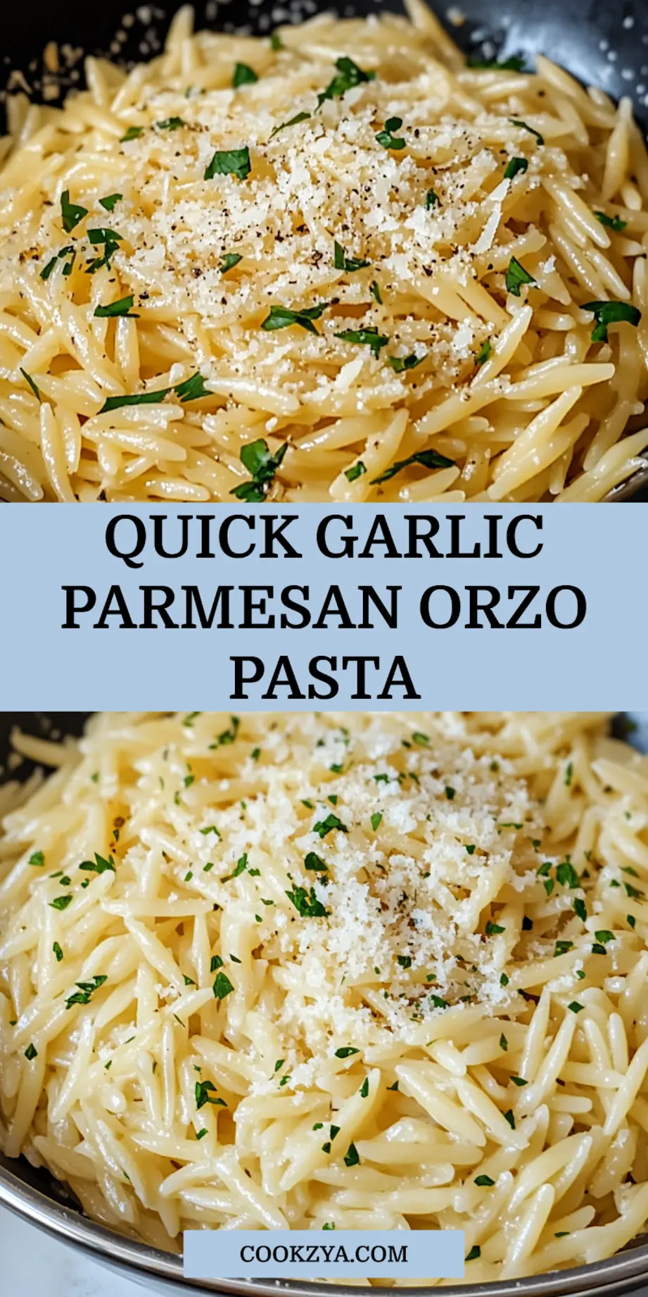 GARLIC PARMESAN ORZO PASTA centered hero view, clean and uncluttered