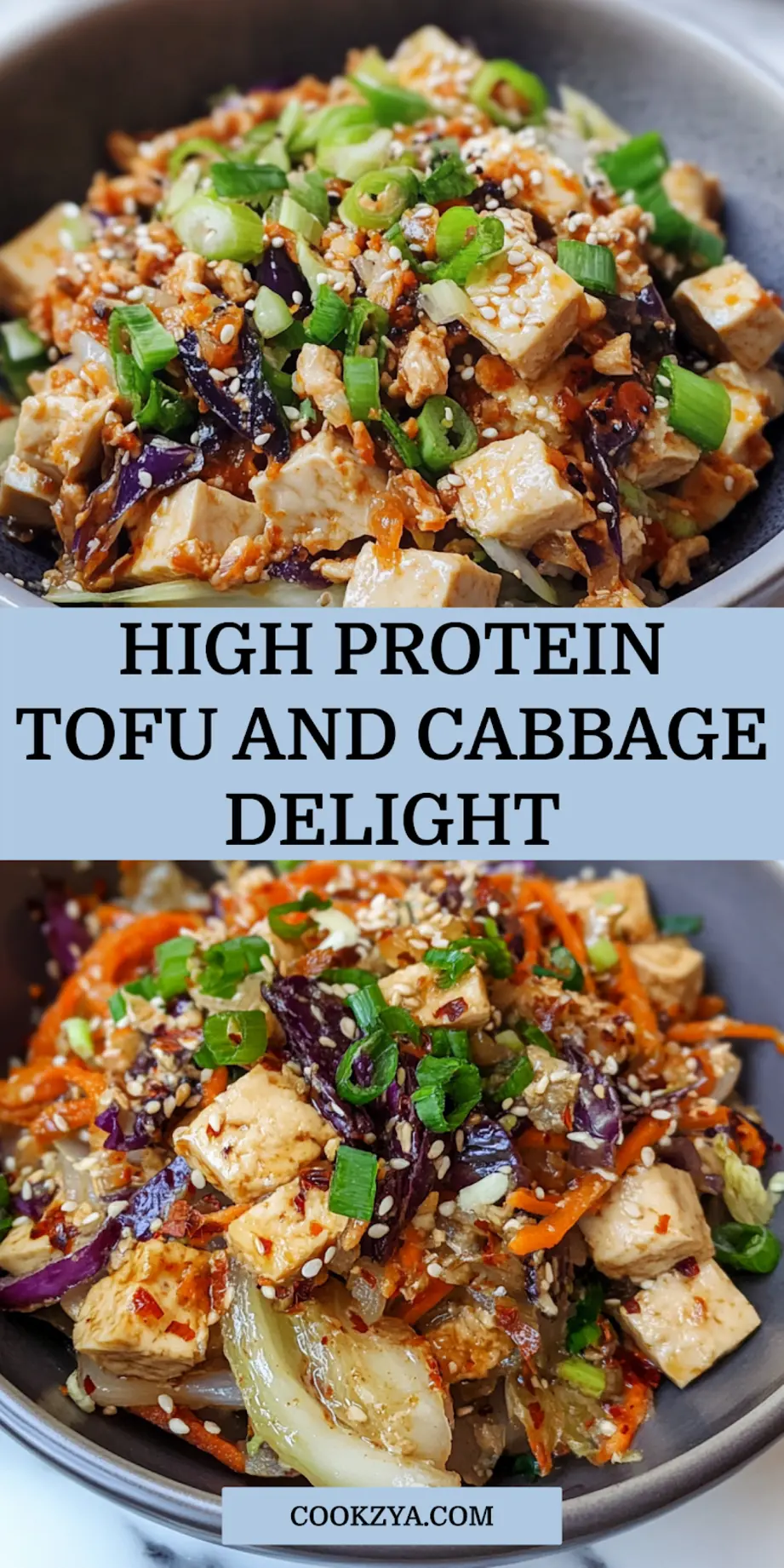 HIGH PROTEIN VEGAN TOFU AND CABBAGE centered hero view, clean and uncluttered_pin