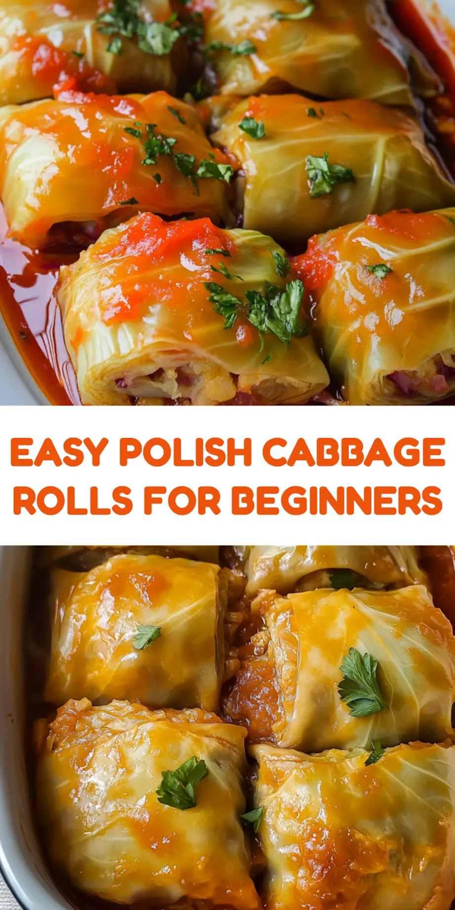 Polish cabbage rolls in tomato sauce, centered hero view, clean and uncluttered