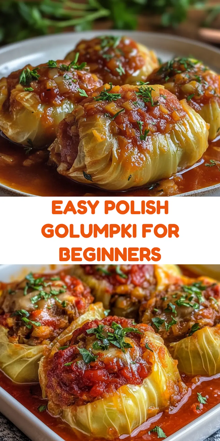 POLISH GOLUMPKI STUFFED CABBAGE centered hero view, clean and uncluttered_pin