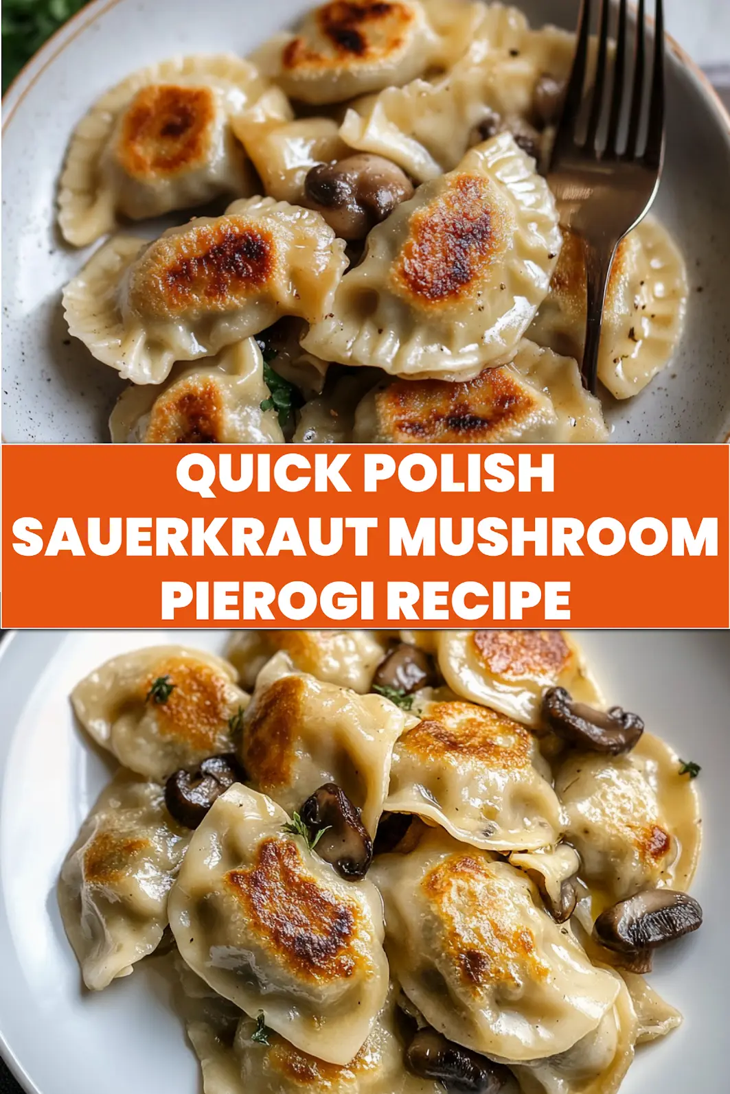 Polish sauerkraut and mushroom pierogi centered hero view, clean and uncluttered pin