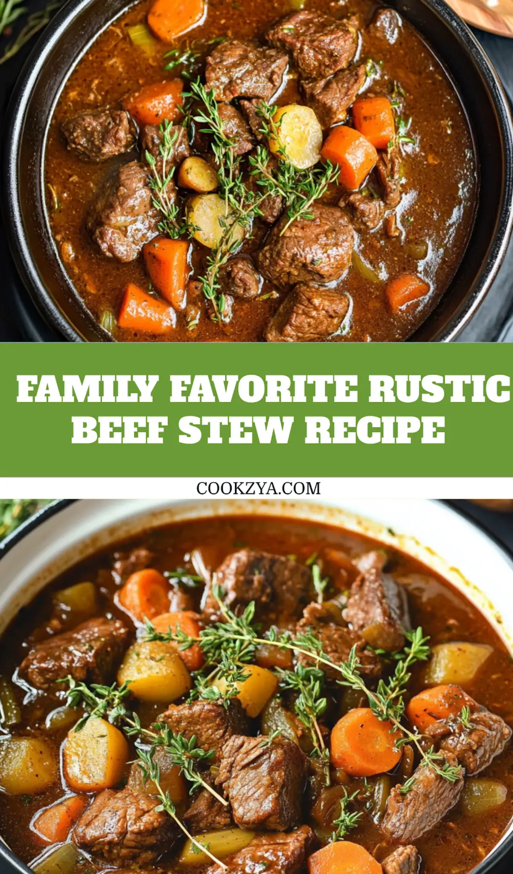RUSTIC BEEF STEW WITH CARROTS AND HERBS centered hero view, clean and uncluttered